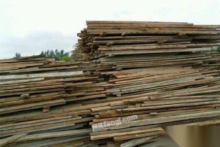 收废木头的利润有多大？建筑废木多少钱一吨