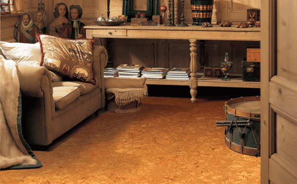 葡萄牙软木地板（葡萄牙软木地板好吗）-图3