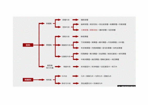 红木的档次（红木的档次顺序图）-图3